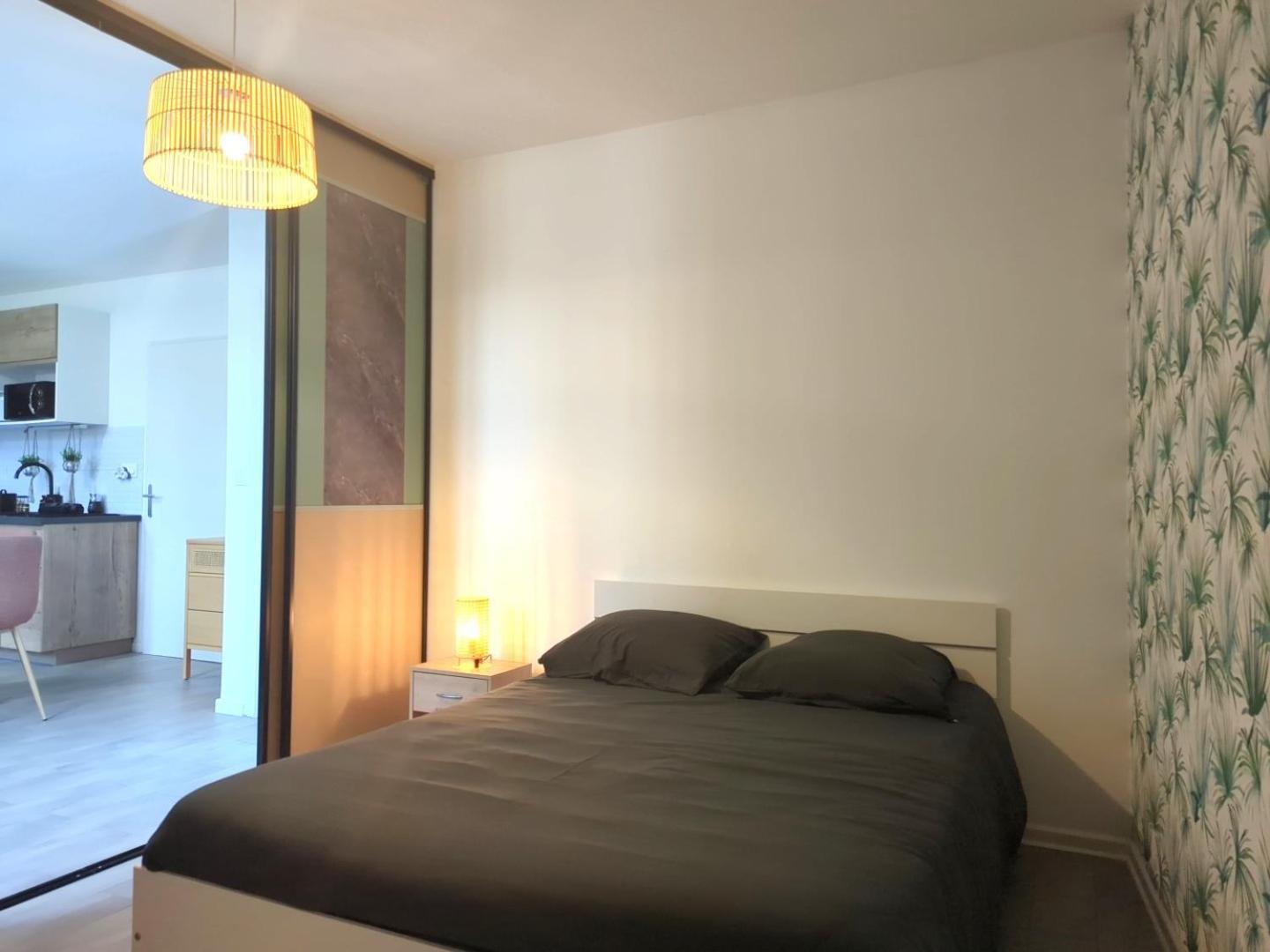 Bel Appartement Meximieux Centre Ville 2 Chambres Экстерьер фото